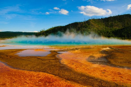 Vibrant geothermal pool with steam rising, surrounded by colorful mineral deposits and a forested hillside under a blue sky.