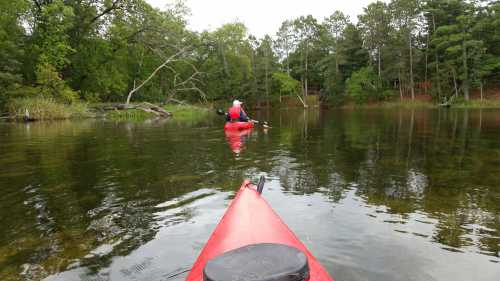 A person paddles a red kayak on a calm lake surrounded by trees and greenery.