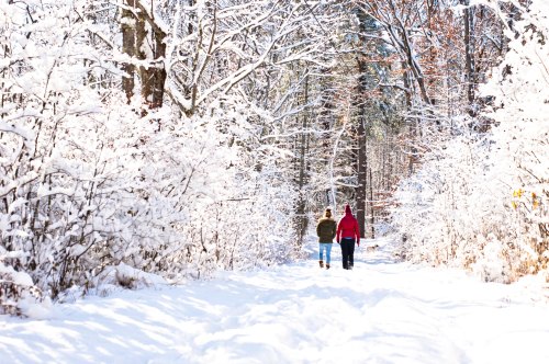 Two people walk along a snow-covered path in a forest, surrounded by trees blanketed in white snow.