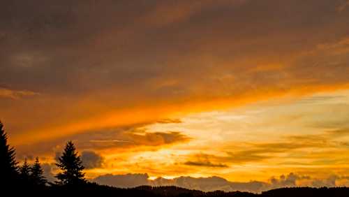 A vibrant sunset with orange and yellow hues, silhouetted trees in the foreground against a cloudy sky.