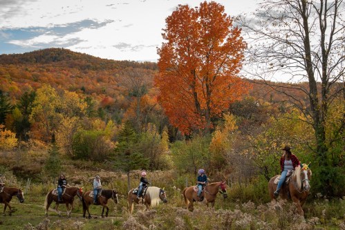 A group of horseback riders traverses a colorful autumn landscape with vibrant trees and rolling hills in the background.