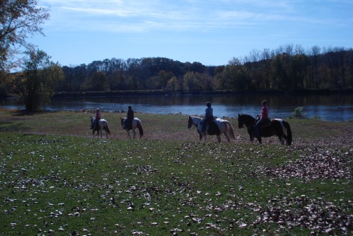 Four riders on horseback walk along a riverbank, surrounded by autumn leaves and trees under a clear blue sky.