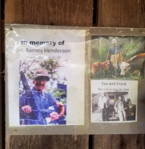 Memorial display for Eva Barnes Henderson, featuring her photo and details about her marriage to Frank in 1908.