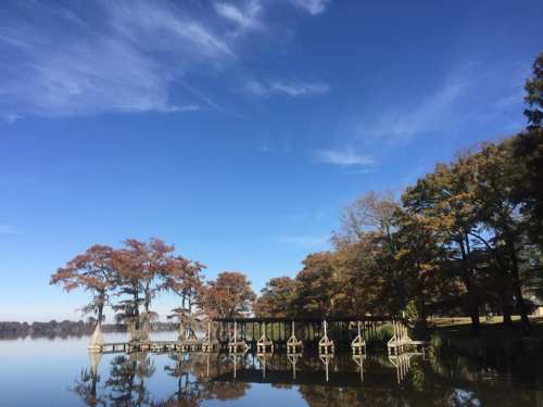 A serene lake scene with trees and a dock under a clear blue sky, reflecting on the calm water.