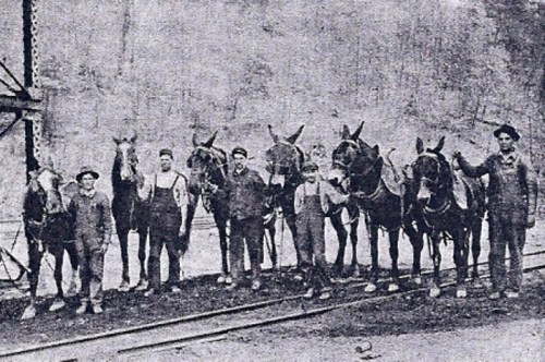 A group of men in overalls stands with horses, posing near a railway track in a historical black-and-white photo.