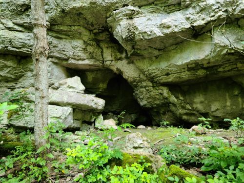 A rocky cave entrance surrounded by greenery and trees in a natural setting.