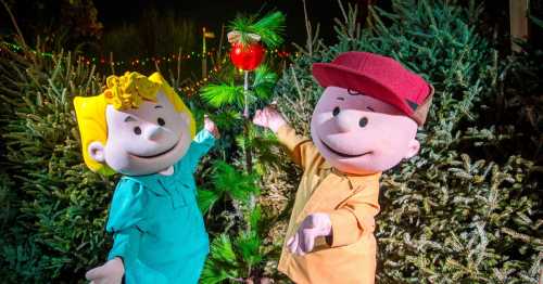 Two animated characters with cheerful expressions stand beside a decorated Christmas tree, surrounded by festive lights.