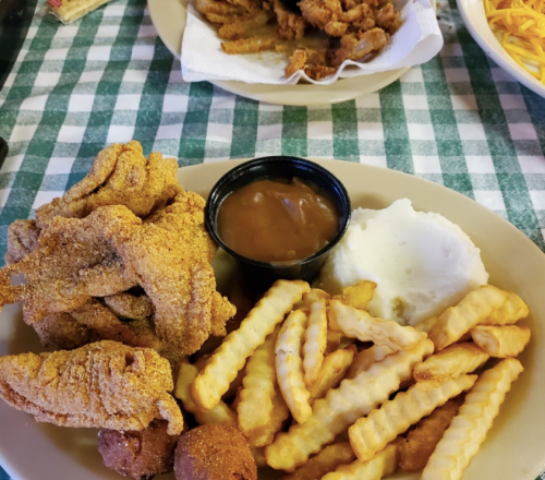 A plate of fried catfish, crinkle-cut fries, mashed potatoes, and a small cup of brown gravy.