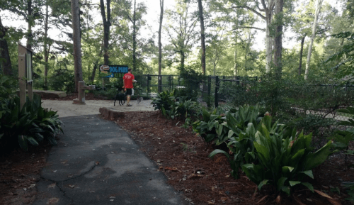 A person walks a dog near a fenced dog park surrounded by trees and greenery.