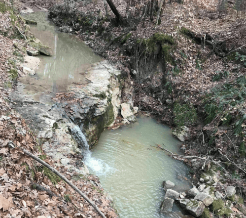 A serene creek flows through a wooded area, surrounded by rocks and fallen leaves.