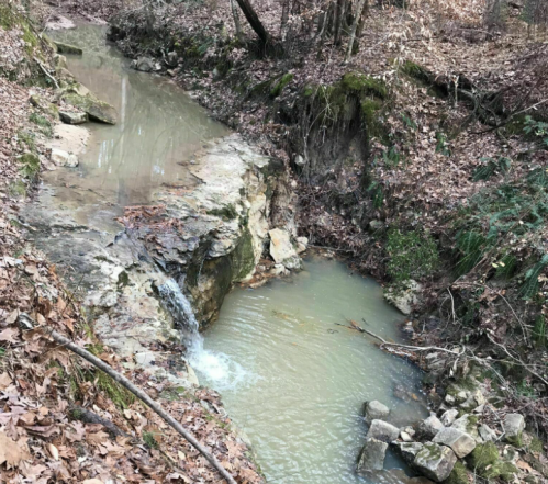 A serene creek flows through a wooded area, surrounded by rocks and fallen leaves.