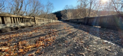A deserted bridge surrounded by trees, with fallen leaves scattered on the ground and sunlight filtering through.