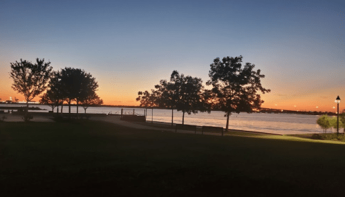 A serene lakeside view at sunset, with trees silhouetted against a colorful sky and calm water.