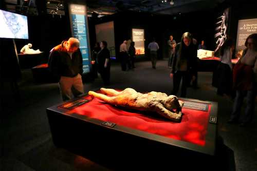 Visitors observe a mummified animal displayed in a dimly lit museum exhibit, surrounded by informational panels.