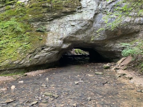 A natural rock arch over a shallow stream, surrounded by lush greenery and rocky terrain.