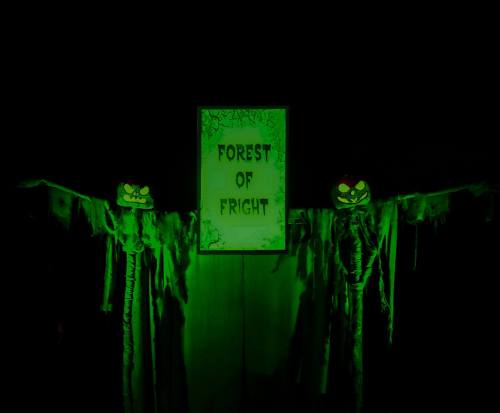 A spooky display featuring two skeletons with glowing eyes beside a sign that reads "Forest of Fright," all in eerie green light.