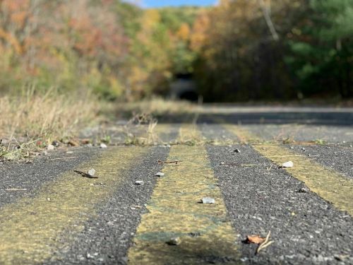 A close-up view of a weathered road with yellow stripes, surrounded by trees in autumn colors and a tunnel in the distance.