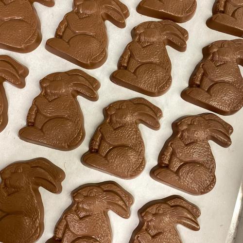 A tray of chocolate bunny-shaped candies arranged in rows.