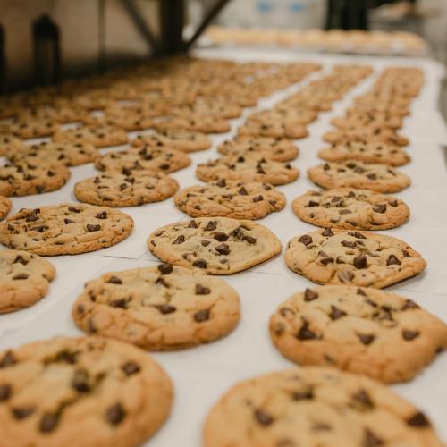 A row of freshly baked chocolate chip cookies cooling on a tray in a bakery.