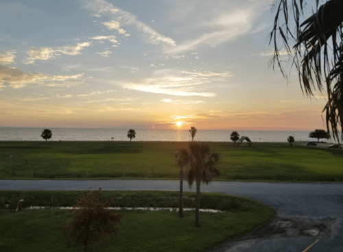 A serene sunset over the ocean, with palm trees and grassy land in the foreground.