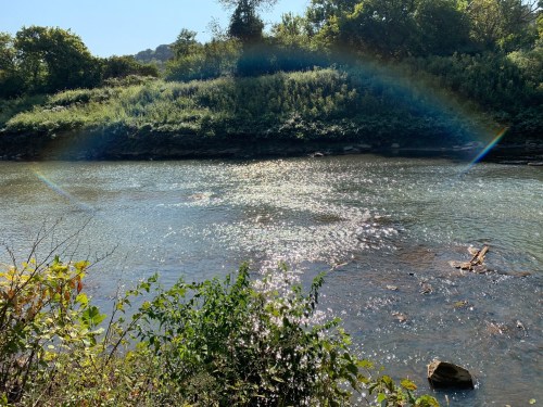 A serene river scene with sparkling water and lush greenery, featuring a subtle rainbow in the background.