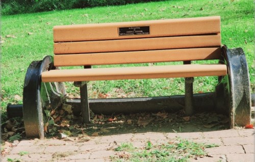 A wooden park bench with a plaque, set on a grassy area surrounded by fallen leaves.