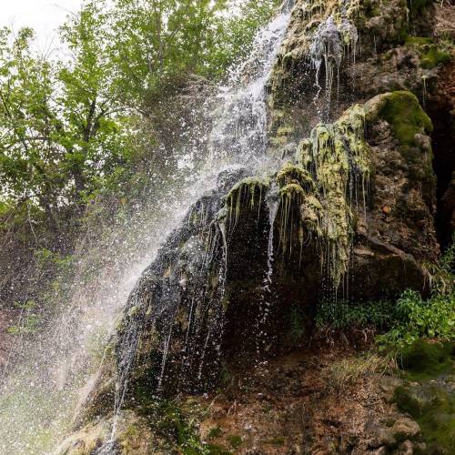 A cascading waterfall flows over moss-covered rocks, surrounded by lush greenery.