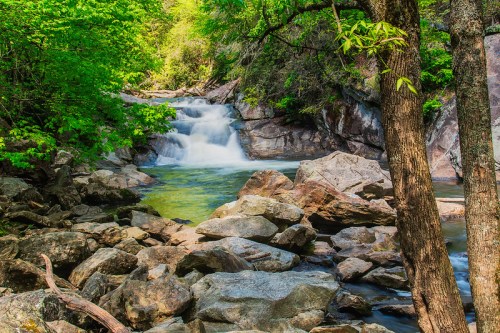 A serene waterfall cascades over rocks, surrounded by lush green trees and a clear pool of water.
