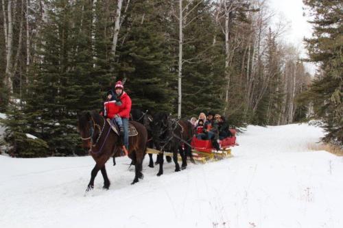 A horse-drawn sleigh carries passengers through a snowy forest, surrounded by tall trees.