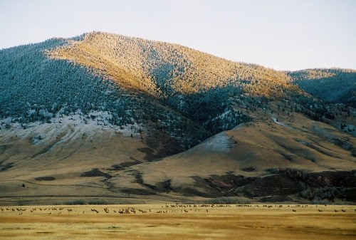 A scenic view of rolling hills and mountains, with sunlight illuminating the peaks and a flock of birds in the foreground.