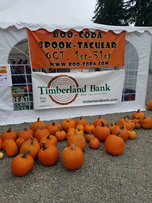 A tent with a sign for "Boo-Coda Spook-Tacular" and pumpkins displayed in front, promoting Timberland Bank.