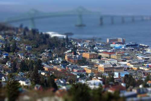 Aerial view of a coastal town with buildings, trees, and a bridge in the background, slightly blurred for effect.