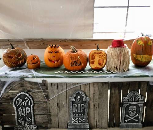 A display of carved pumpkins with various faces, set on a table with fake tombstones and spiderweb decorations.