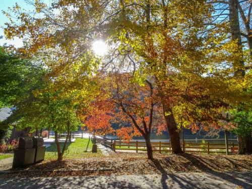 A serene park scene with colorful autumn trees, sunlight filtering through leaves, and a path leading to a lake.