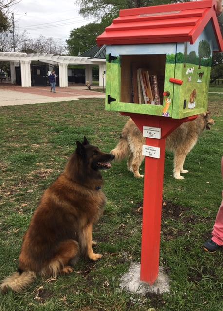 A dog sits beside a colorful little free library in a park, with another dog in the background.