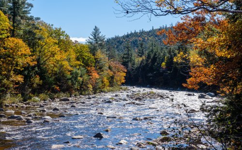 A serene river flows through a forest with vibrant autumn foliage and rocky banks under a clear blue sky.