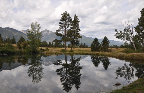 A serene landscape featuring a pond reflecting trees and mountains under a cloudy sky.