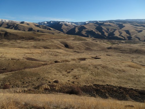 A vast, dry landscape with rolling hills and distant snow-capped mountains under a clear blue sky.