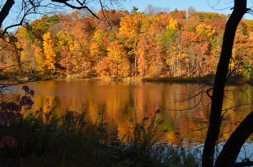 A serene lake reflecting vibrant autumn foliage in shades of orange, yellow, and green, framed by trees.