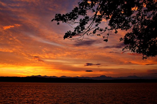 A vibrant sunset over a calm lake, with silhouetted mountains in the background and tree branches framing the scene.