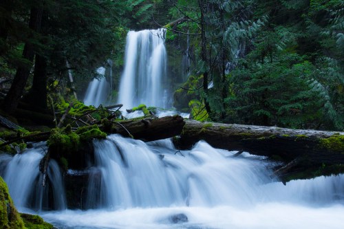 A serene waterfall cascades over rocks, surrounded by lush green trees and moss, creating a tranquil natural scene.