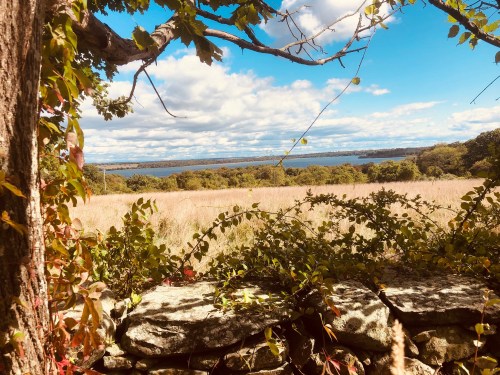 A scenic view of a lake surrounded by trees and fields, framed by vines and stone in the foreground.