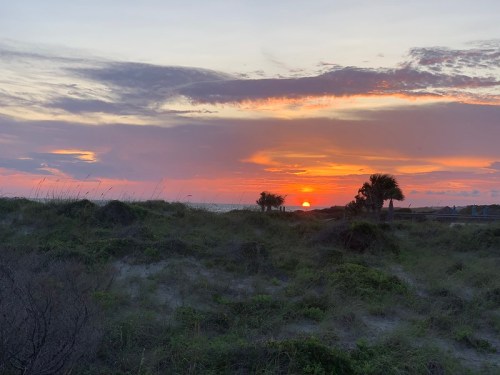 A vibrant sunset over the ocean, with colorful clouds and silhouettes of palm trees against a grassy foreground.