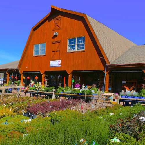 A rustic wooden building surrounded by colorful flowers and plants in a sunny outdoor garden setting.