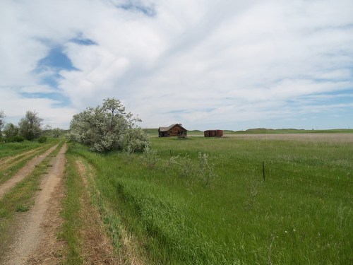 A dirt road leads to a rustic barn surrounded by green fields and a cloudy sky.