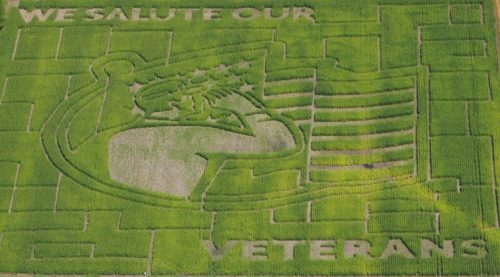 Aerial view of a green field with a maze design featuring a soldier saluting and the text "We Salute Our Veterans."