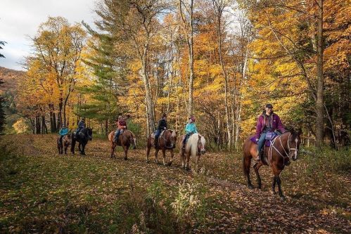 A group of riders on horseback trail through a colorful autumn forest with vibrant fall foliage.