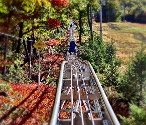 A winding roller coaster track through colorful autumn trees, leading into the distance.