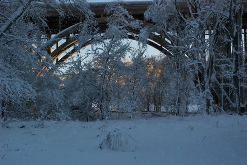 A snowy landscape with trees covered in frost, beneath a large, arched bridge. Soft light filters through the scene.