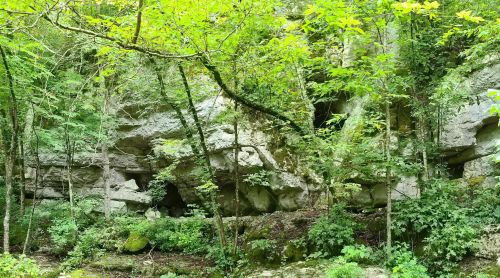Lush green forest with rocky cliffs and trees, creating a serene natural landscape.